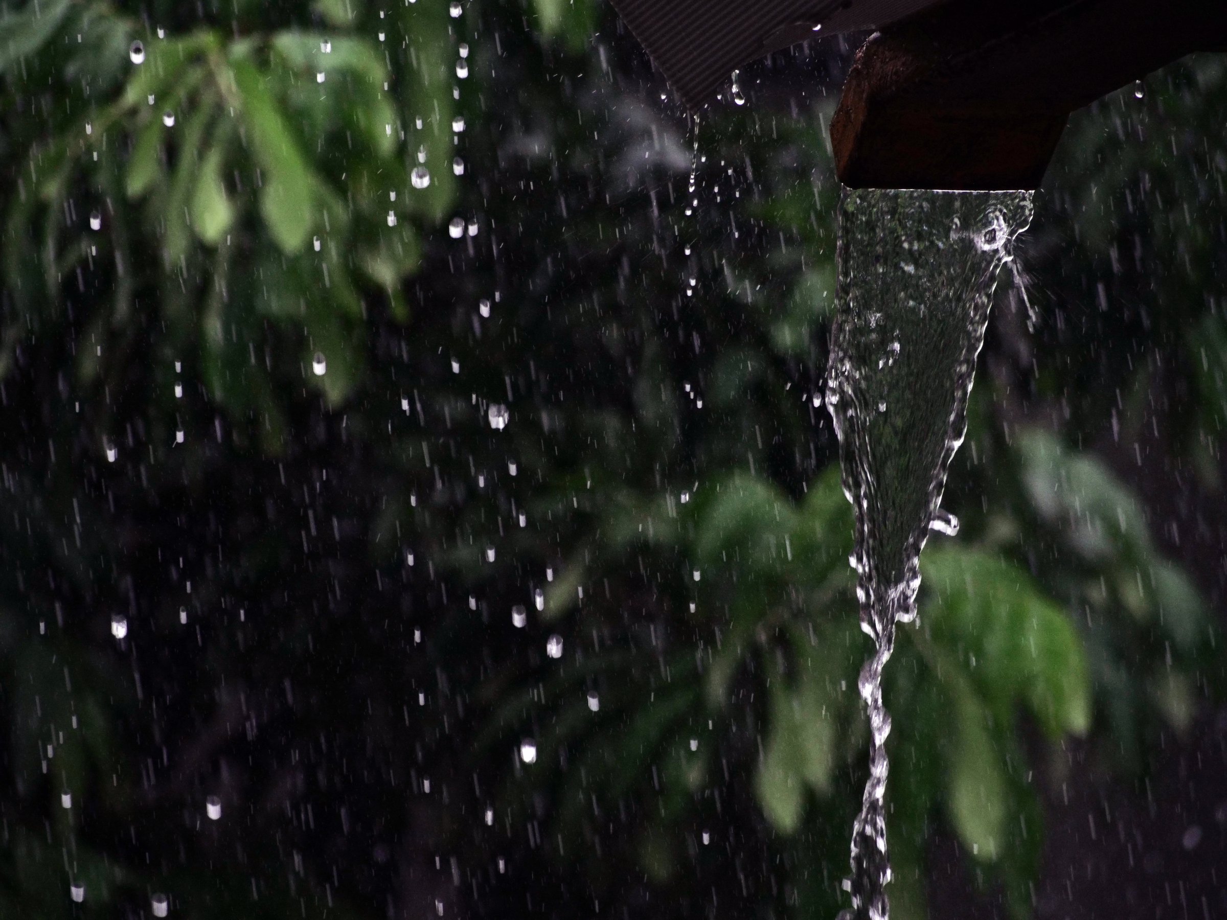 rainwater falling from the gutter. selective focus