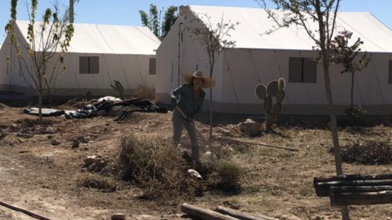 Person in a straw hat working in a dry, rural area with tents and cacti in the background under clear blue sky.