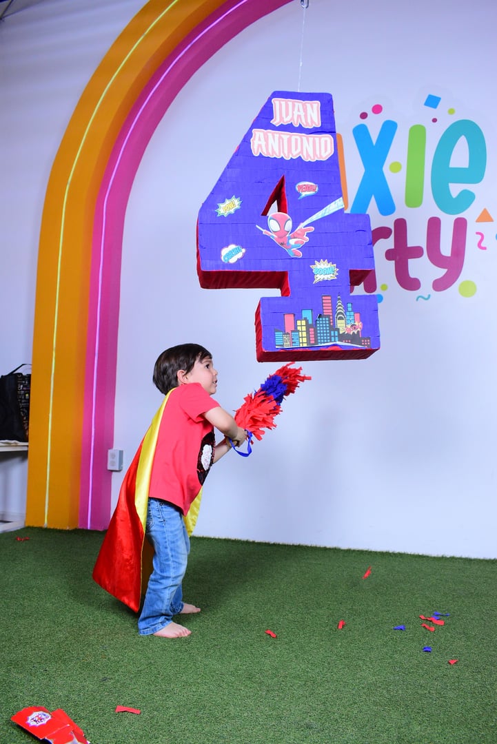 Galería Pixie Party