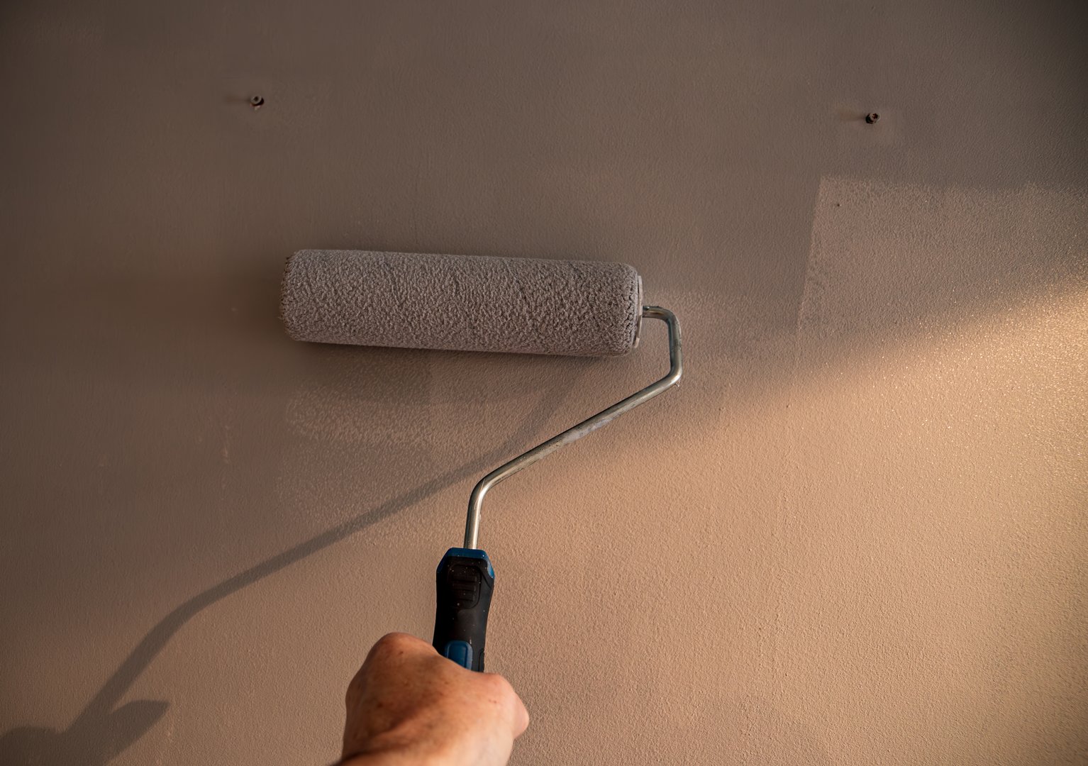 Professional wall painting service