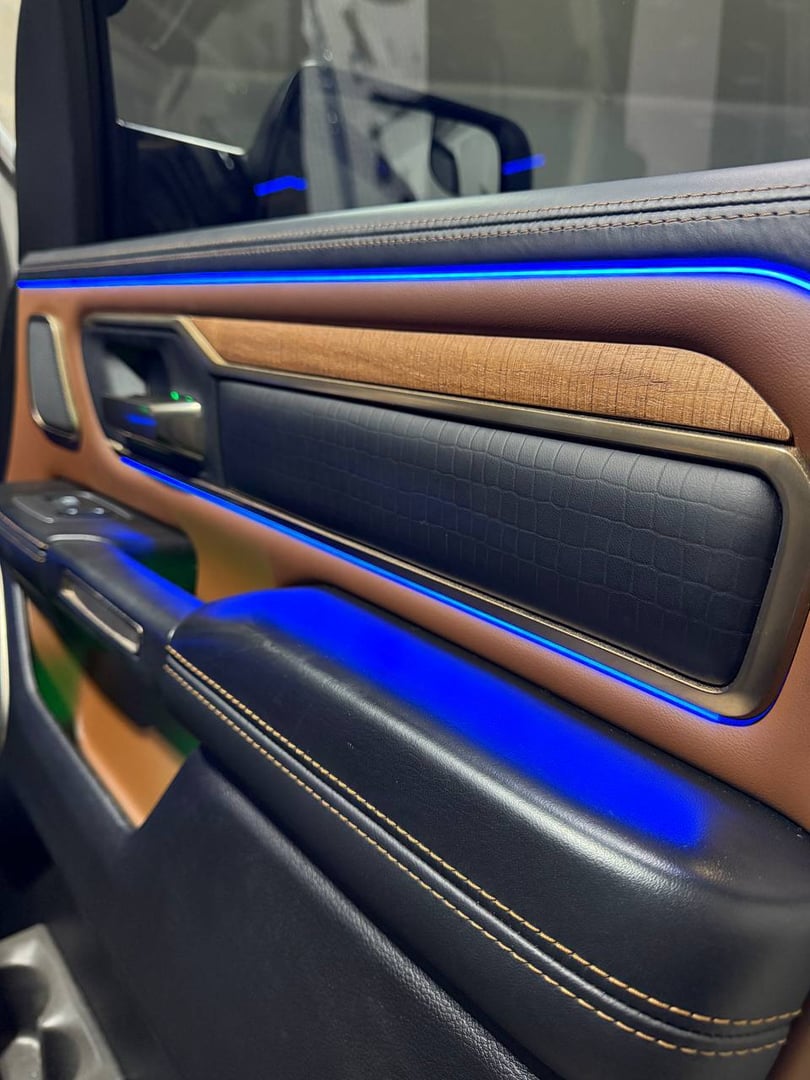 Door Panel Lighting
