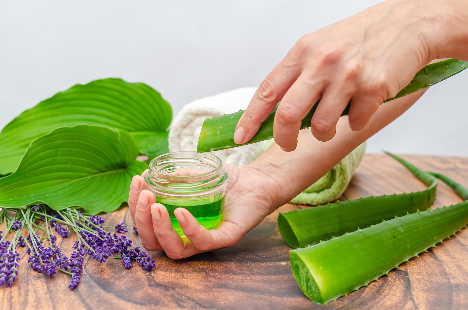 Crisp Herbal Infusion