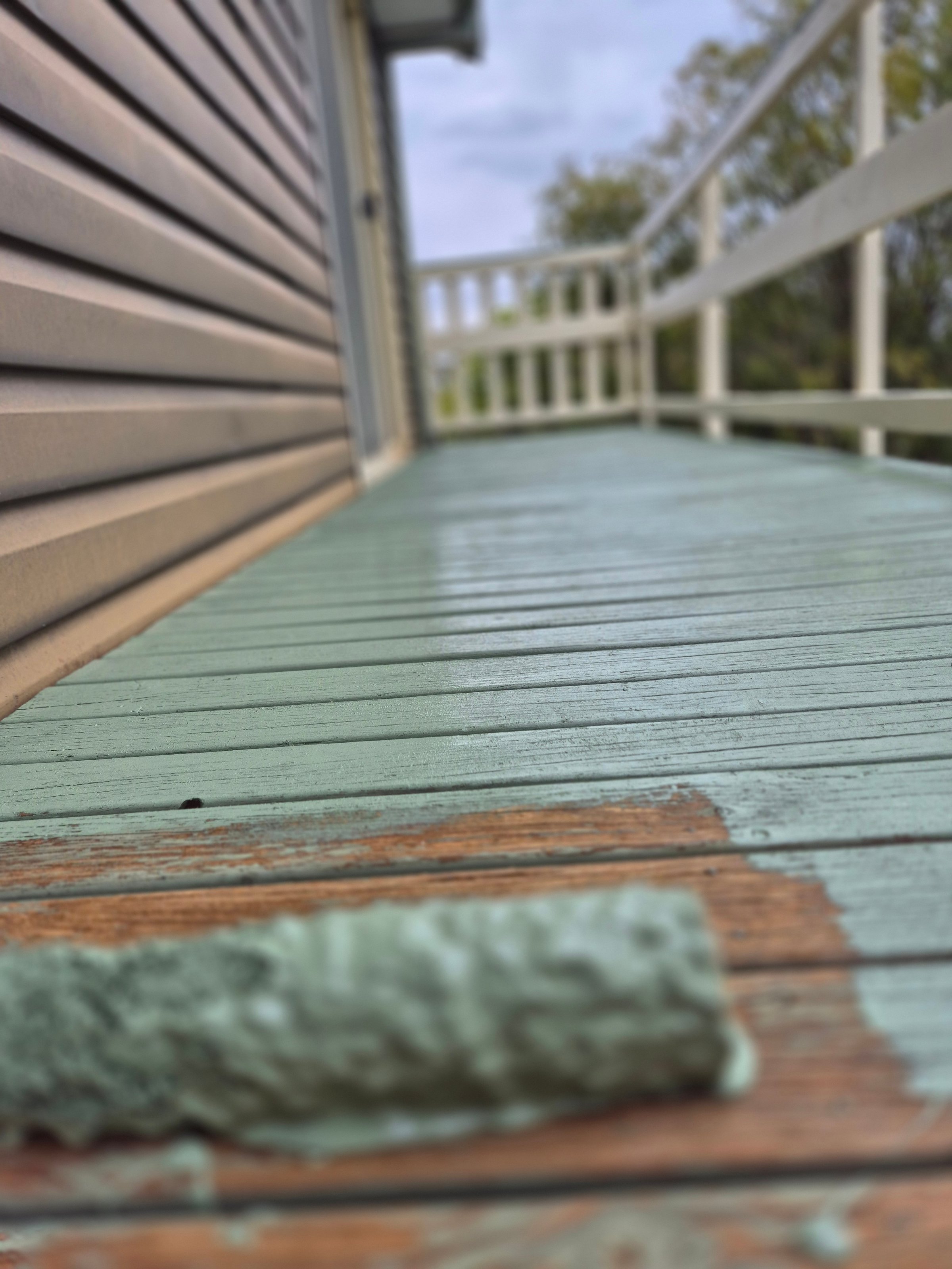 Professional timber deck staining and coating project