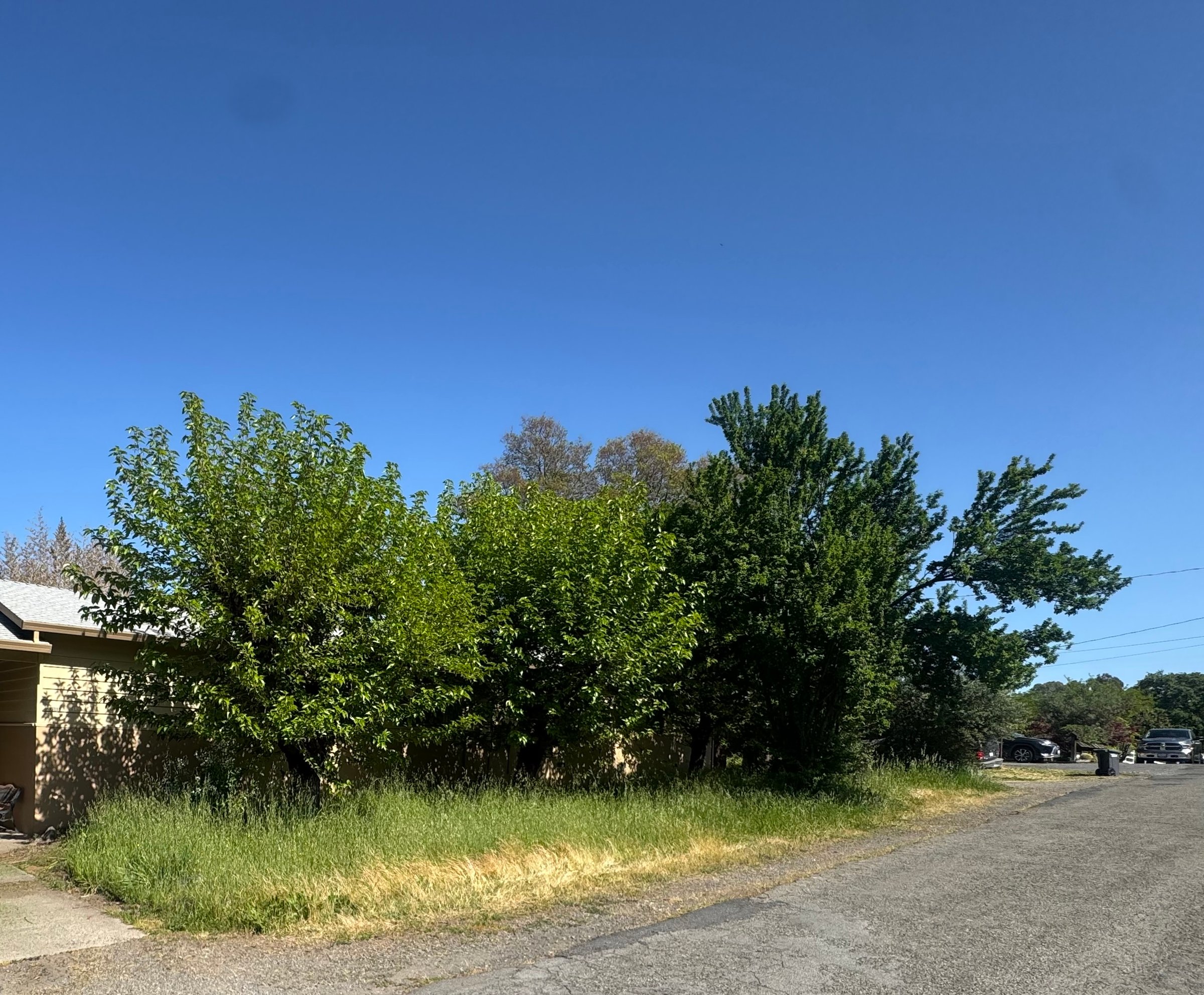 Before landscape work