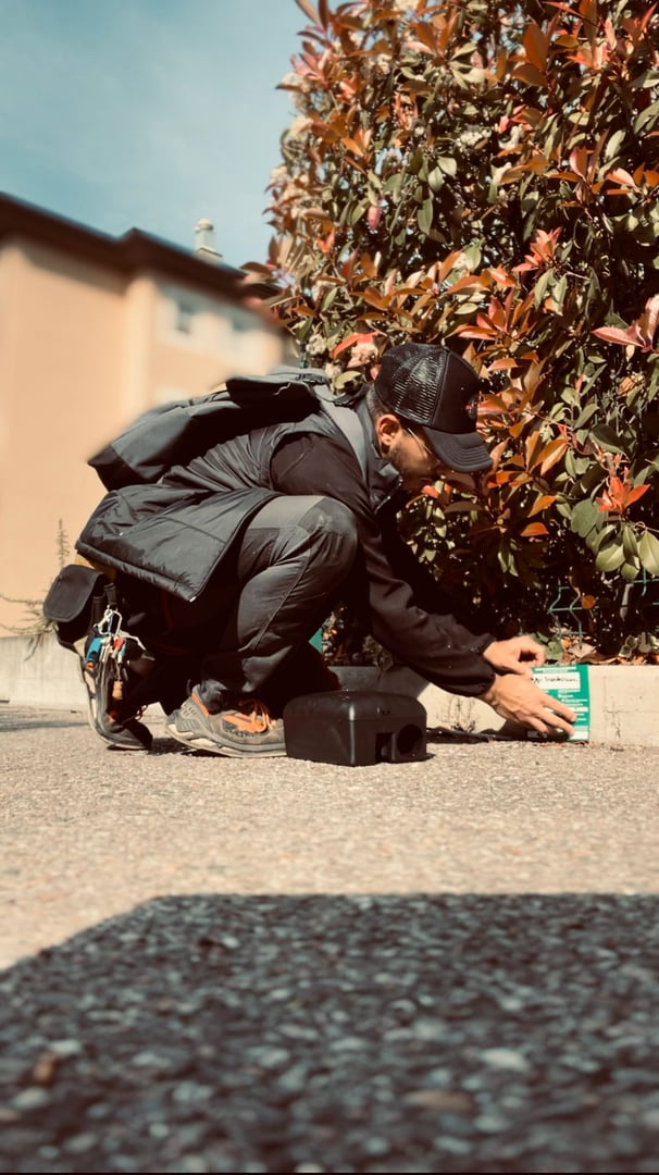 Servizi professionali di derattizzazione