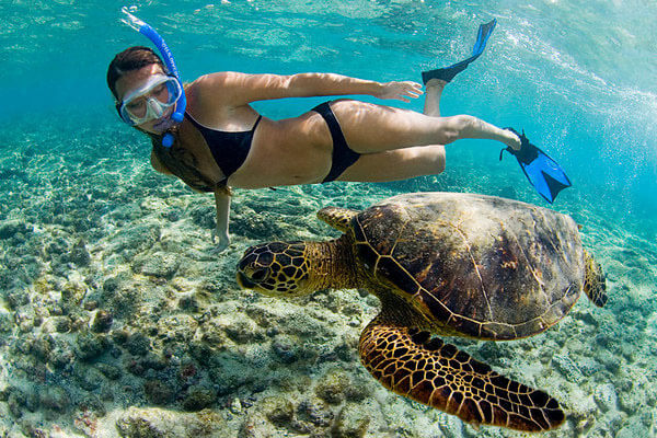 Snorkeling at Kahaluu Bay in Kona, Hawaii