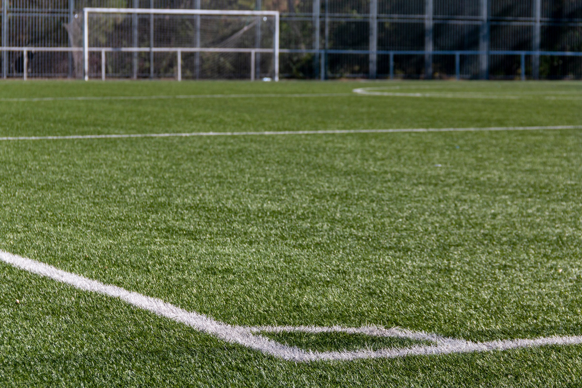 Grass soccer field with goals, white lines and nets on a sunny day