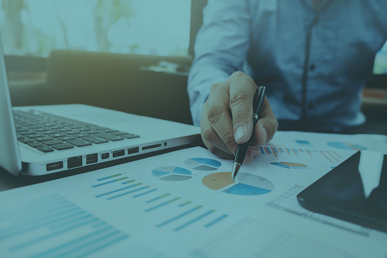 Software Solutions & Financial Modeling
