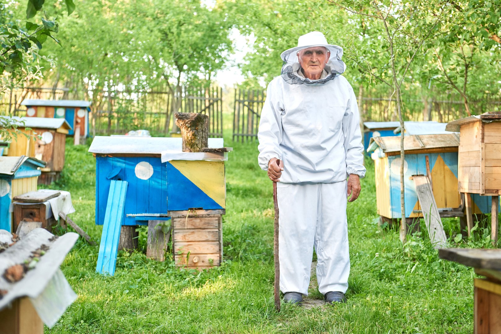 Senior male beekeeper in protective suit standing in apiary
