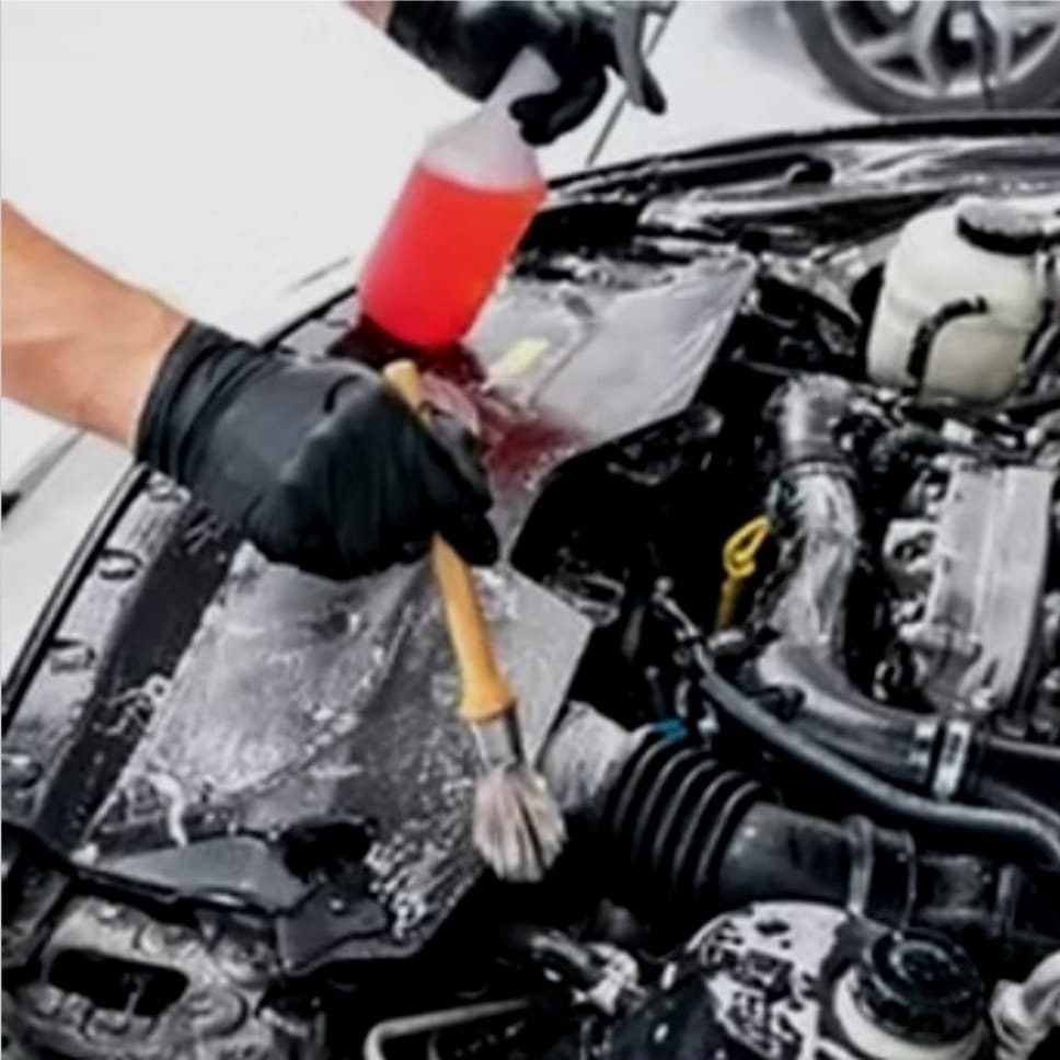 Engine bay cleaning and detailing