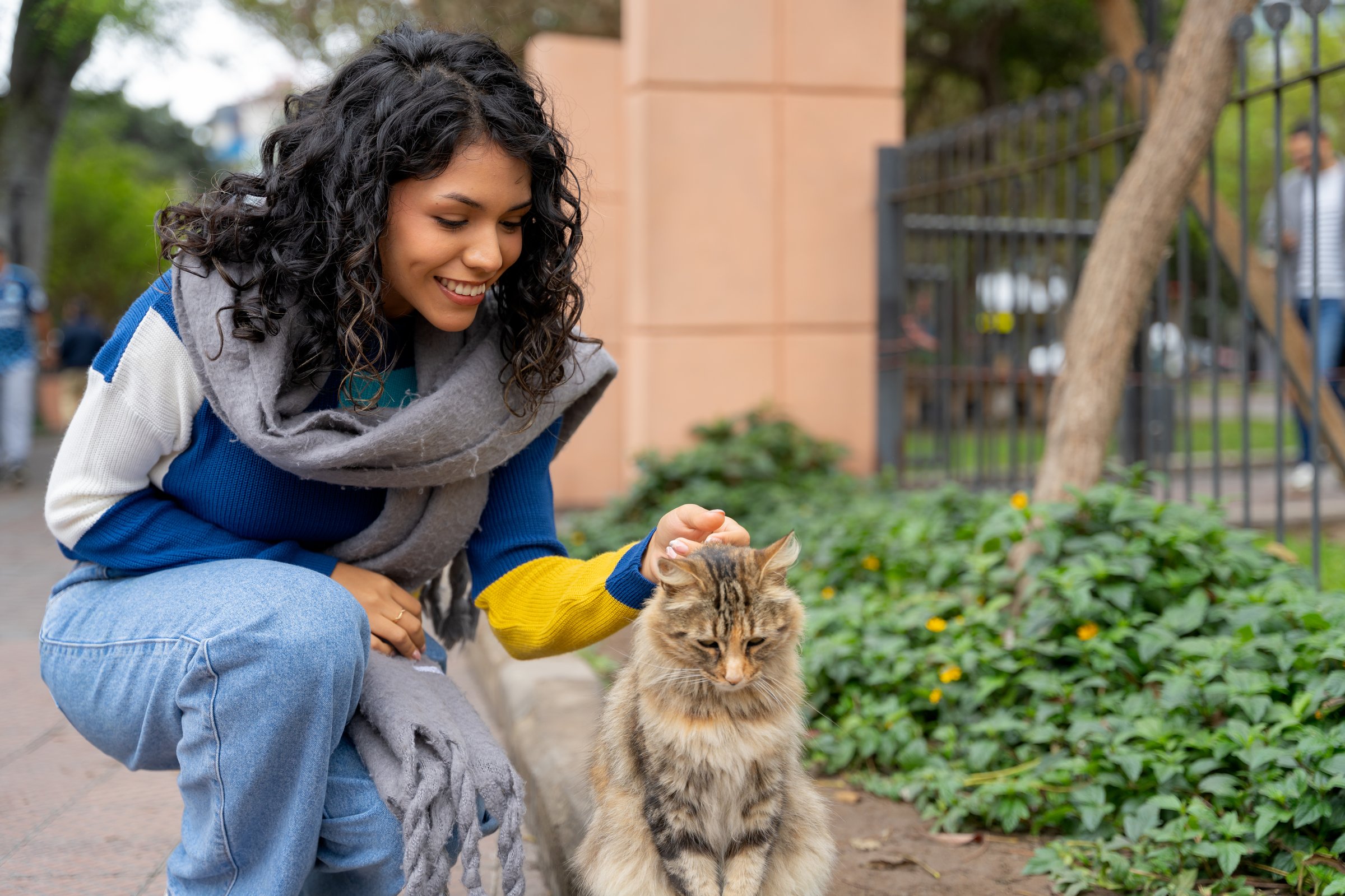 Young woman crouching down and gently petting a fluffy stray cat