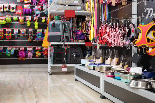 Pet care concept, various pet accessories, toys, balls, brushes on blue background, flat lay