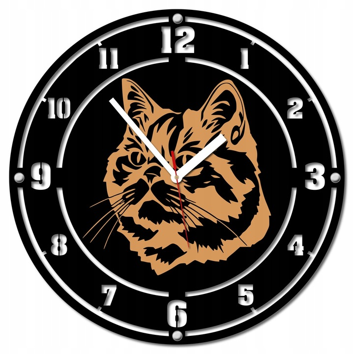 Zegar kot brytyjski krótkowłosy