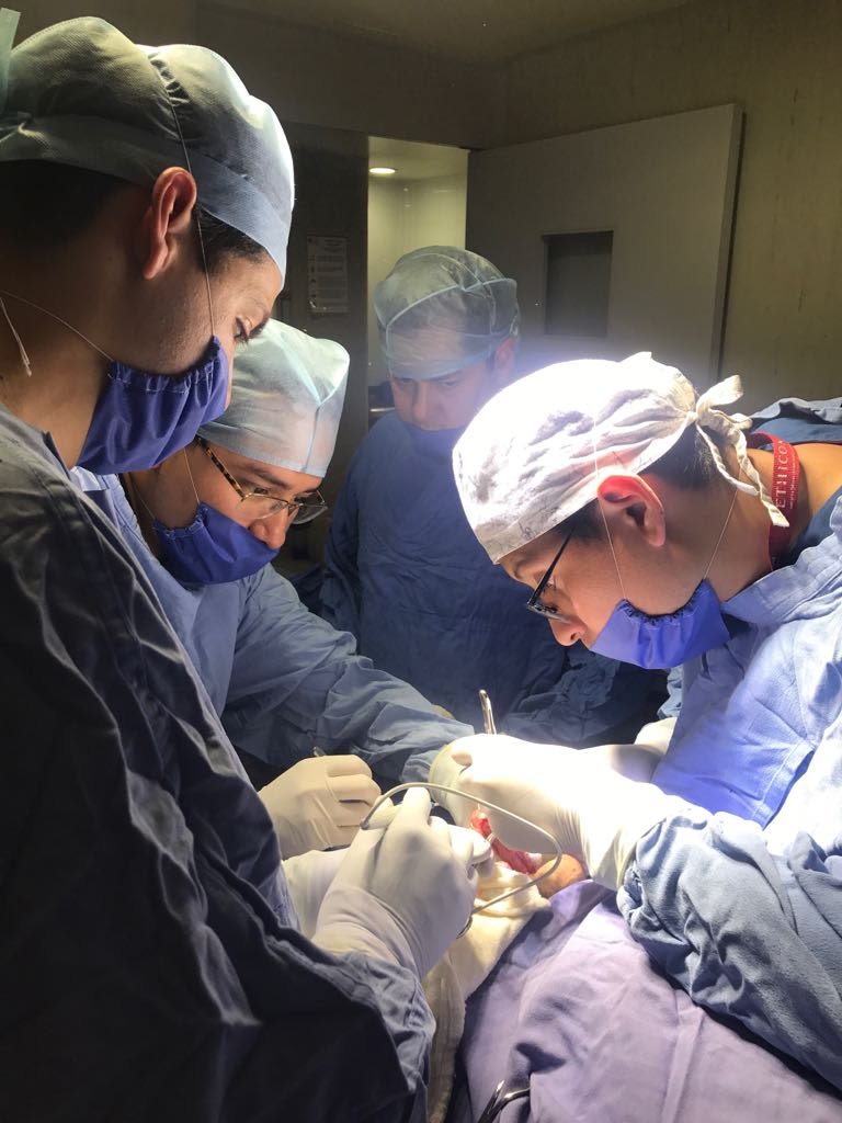 Middle Aged Family Doctor is Talking with Young Male Patient During Consultation in a Health Clinic. Senior Physician in Lab Coat Sitting Behind a Computer Desk in Hospital Office.