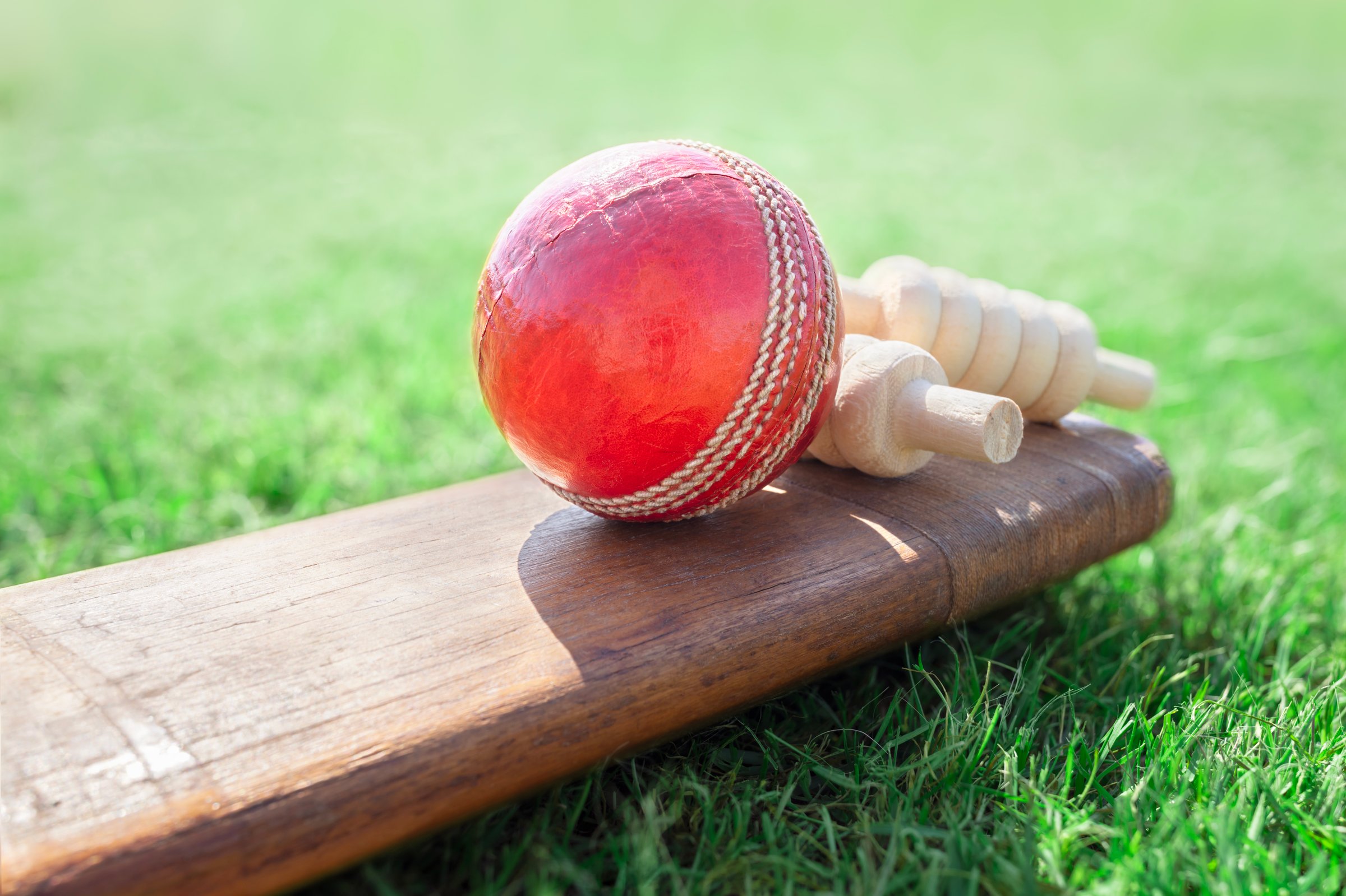 Cricket bat, ball and bails on green grass of cricket ground close up background
