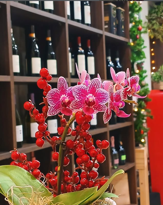 Vini Dino Divino Colonnata