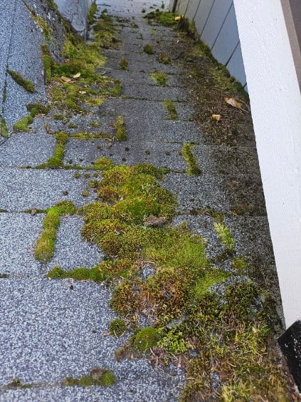 Torch-Down Roof Installation