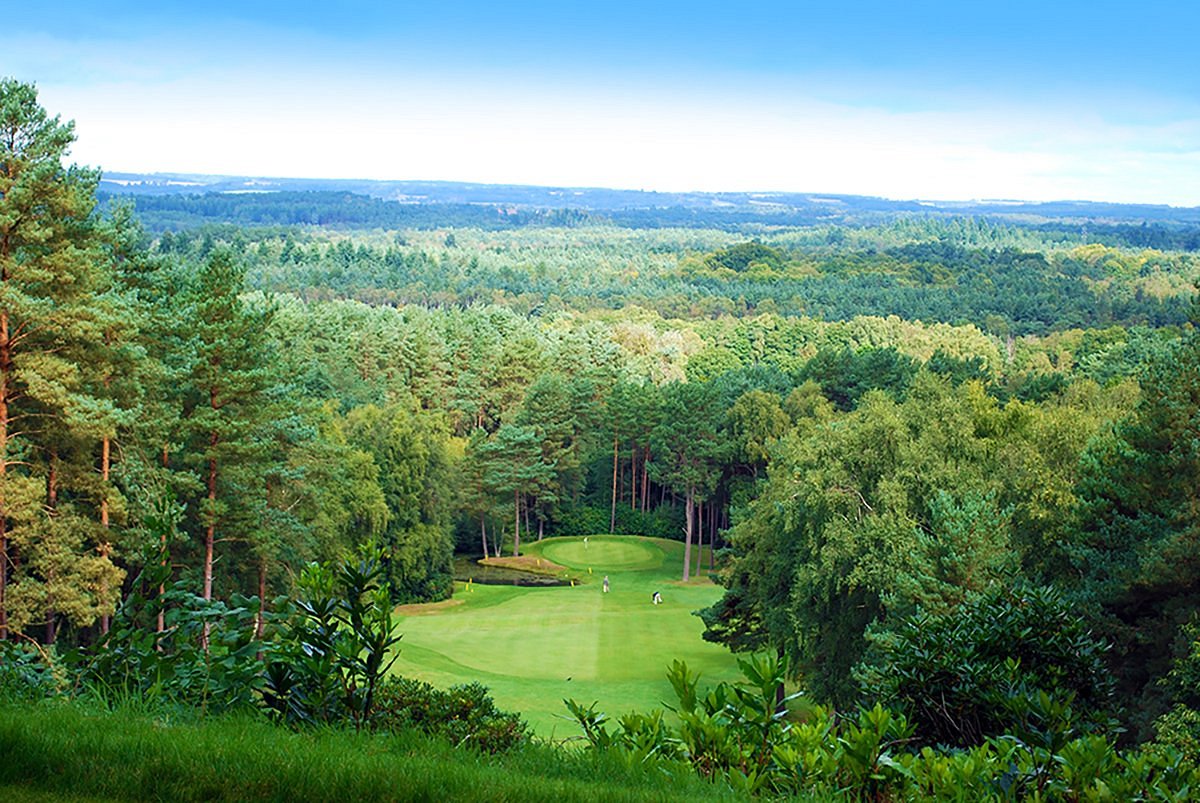 Old Thorns golf course fairway and green views