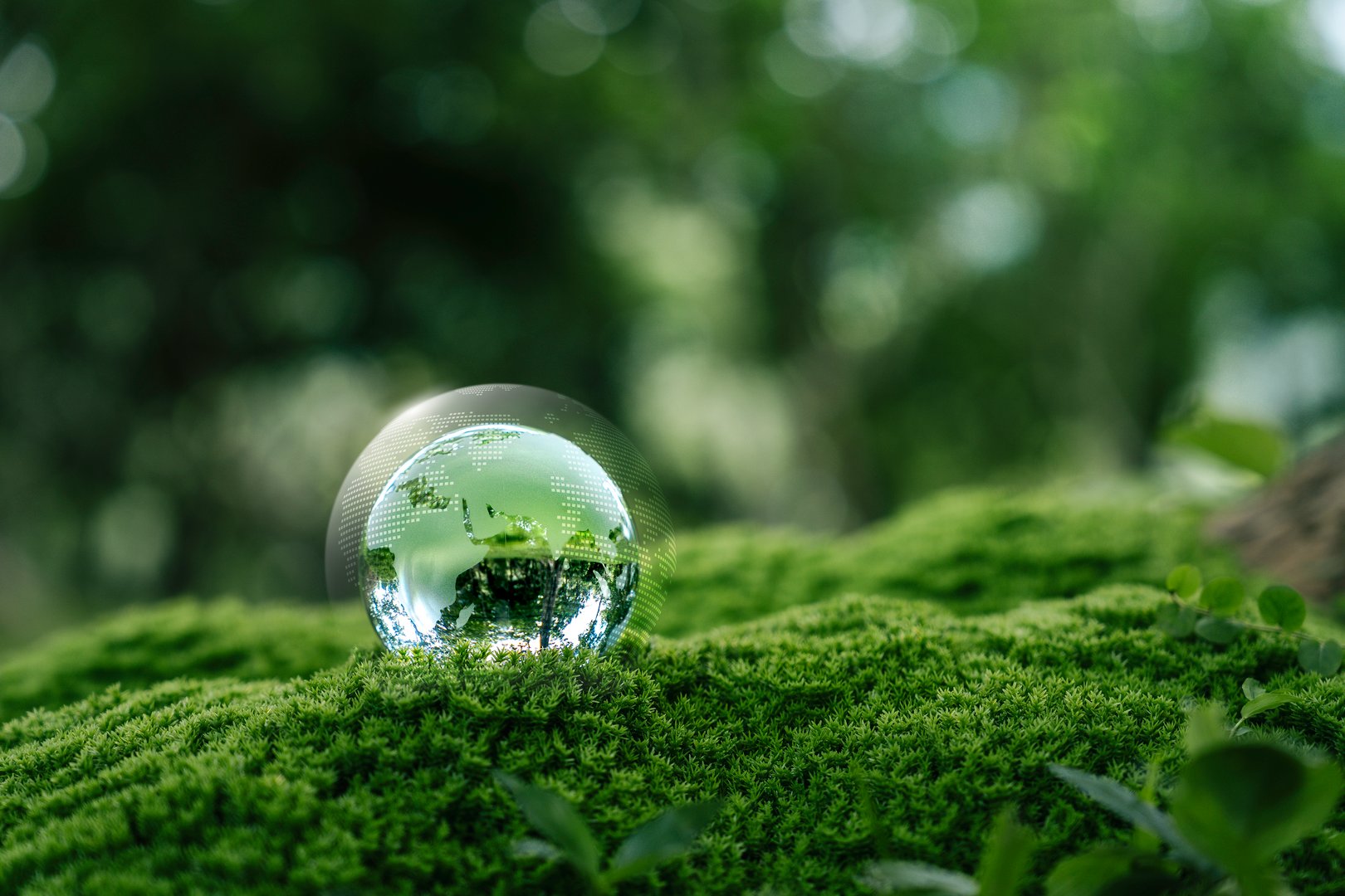 Crystal globe glass on green moss in forest to protect nature Save and care World for sustainable. concept of the environment ecology and Earth Day. eco environment and ESG concept.