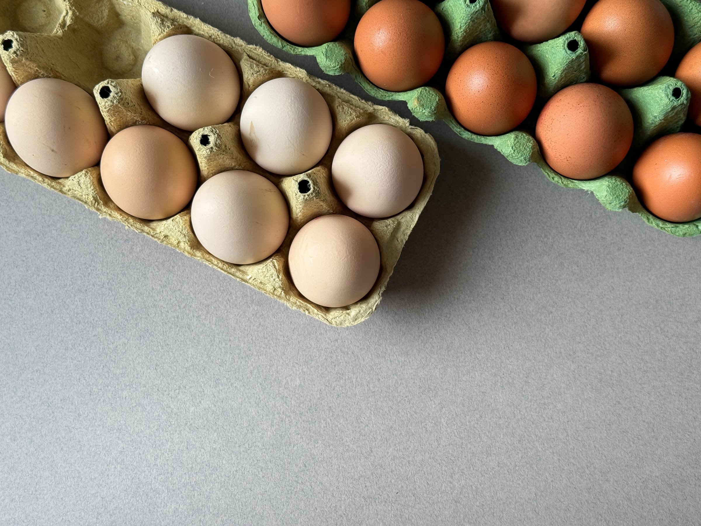 Brown and white chicken eggs in green paper trays top view with copy space