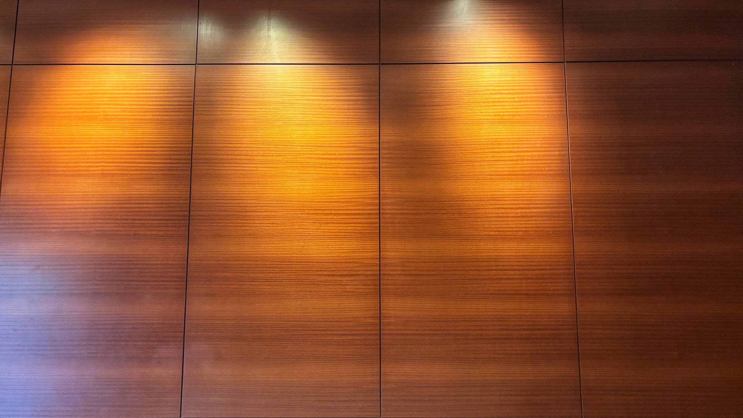 Elegant wooden wall panels illuminated by soft overhead lighting, ideal for backgrounds, texture references, or interior decor themes.