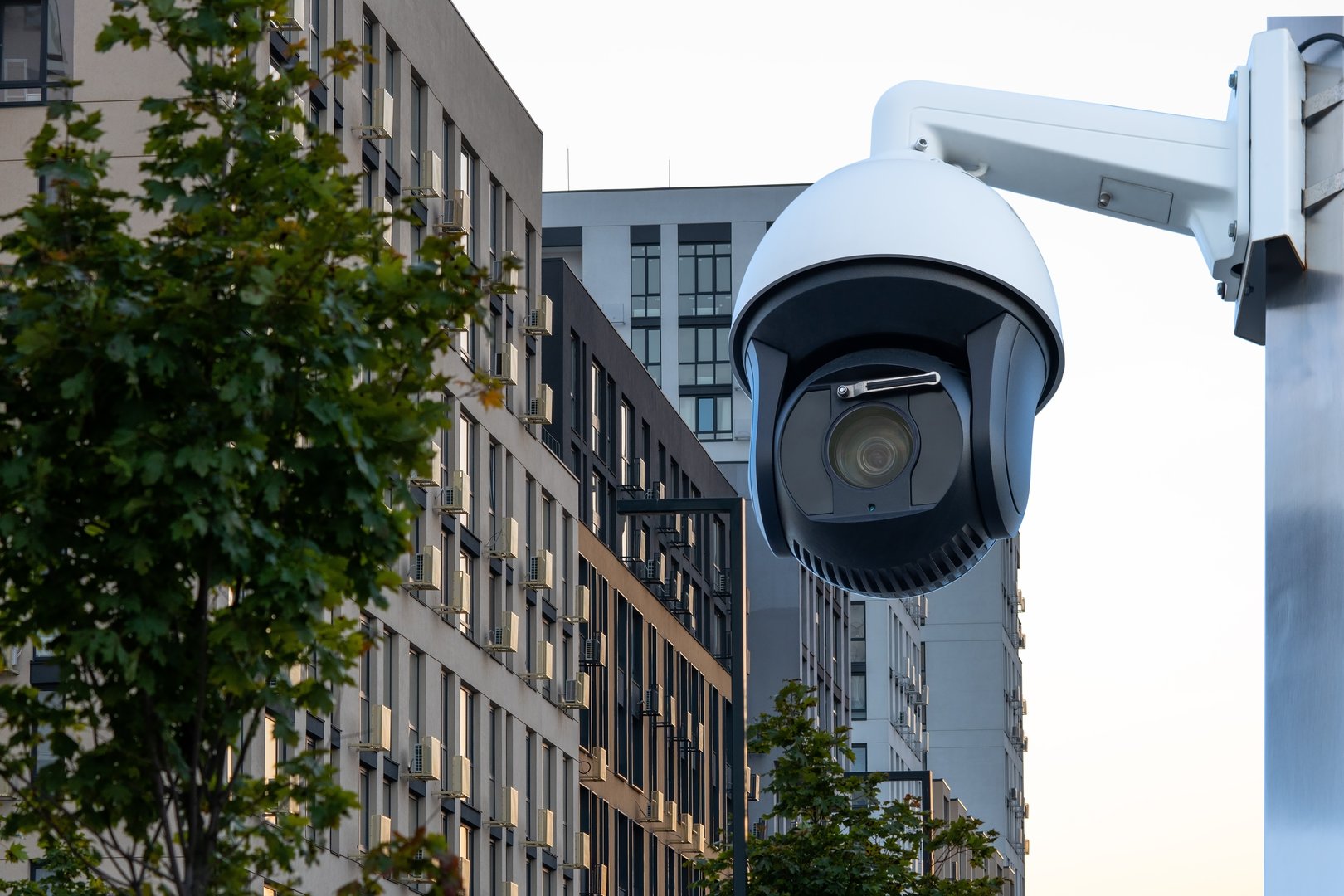 To ensure the security of the territory, a high-quality swiveling CCTV camera with night vision is installed