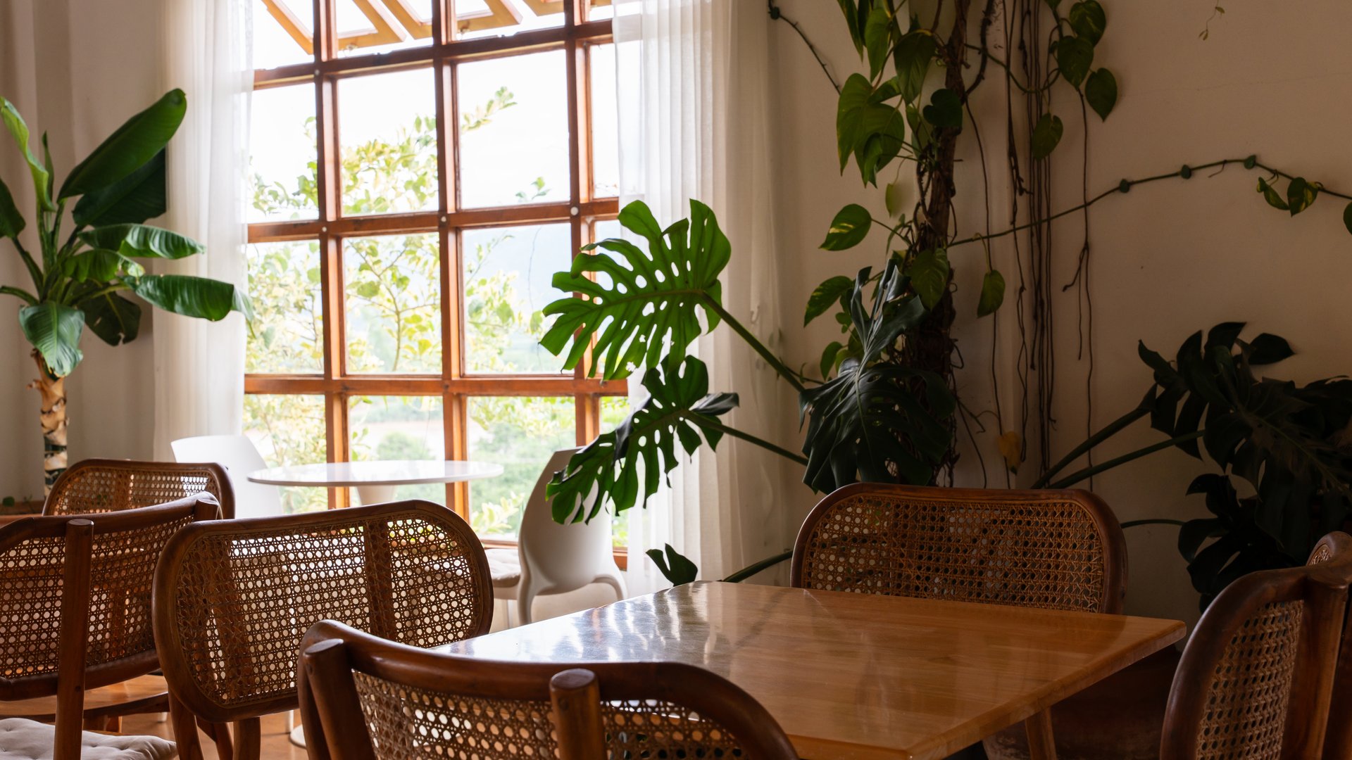 Empty chairs and table at cafe