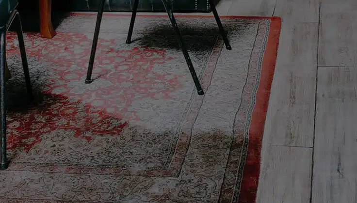 Professional moth damage repair and removal for Oriental and wool rugs