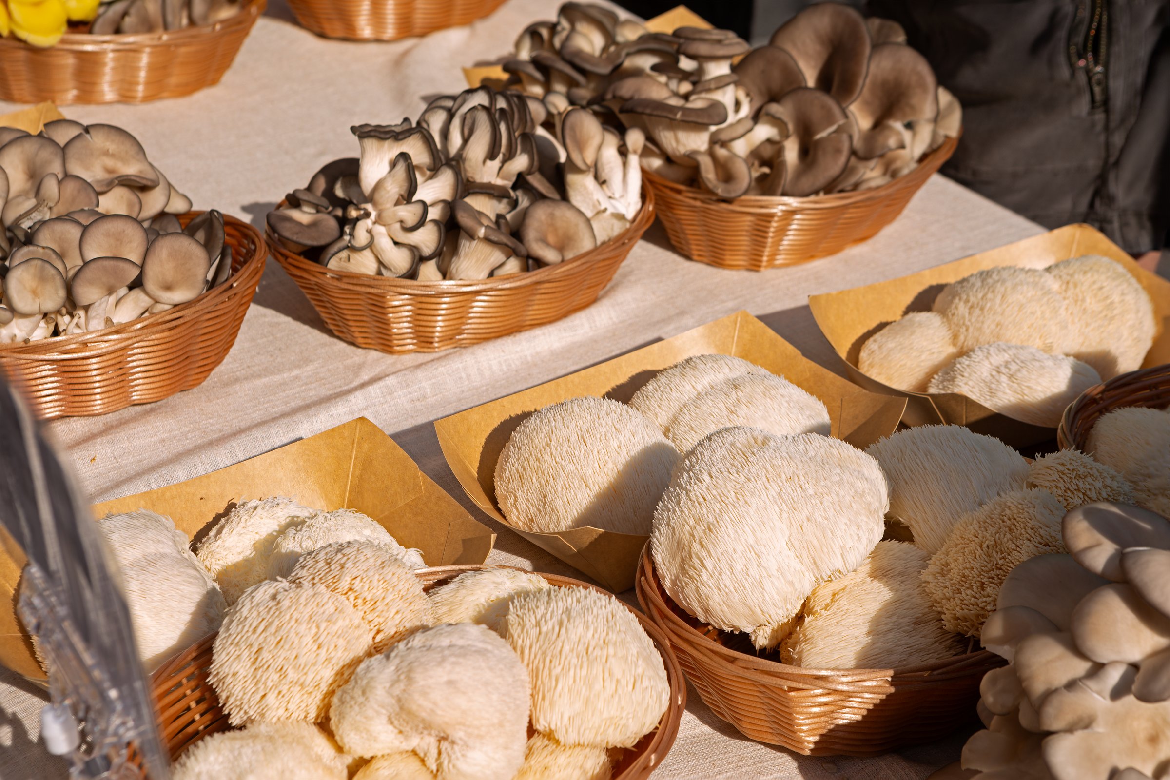 Variety of fresh organic mushrooms to include Lions Mane at a local outdoor market