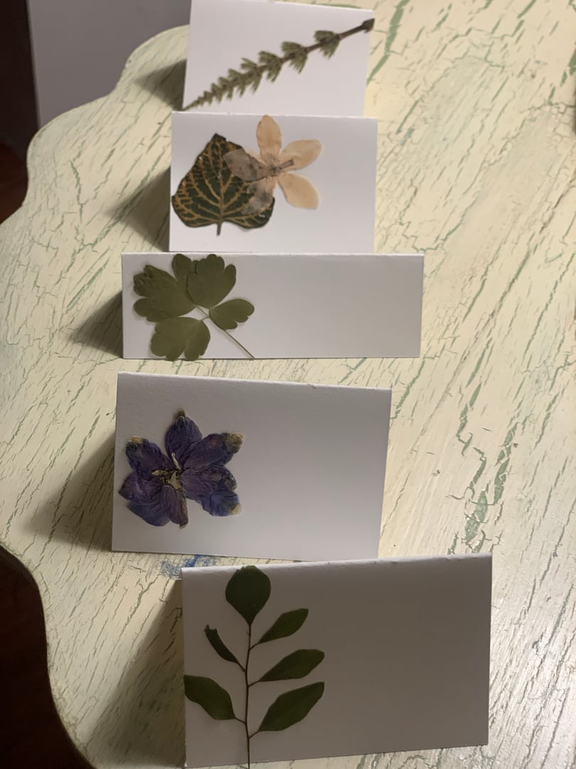 Pressed Flower Art Collection