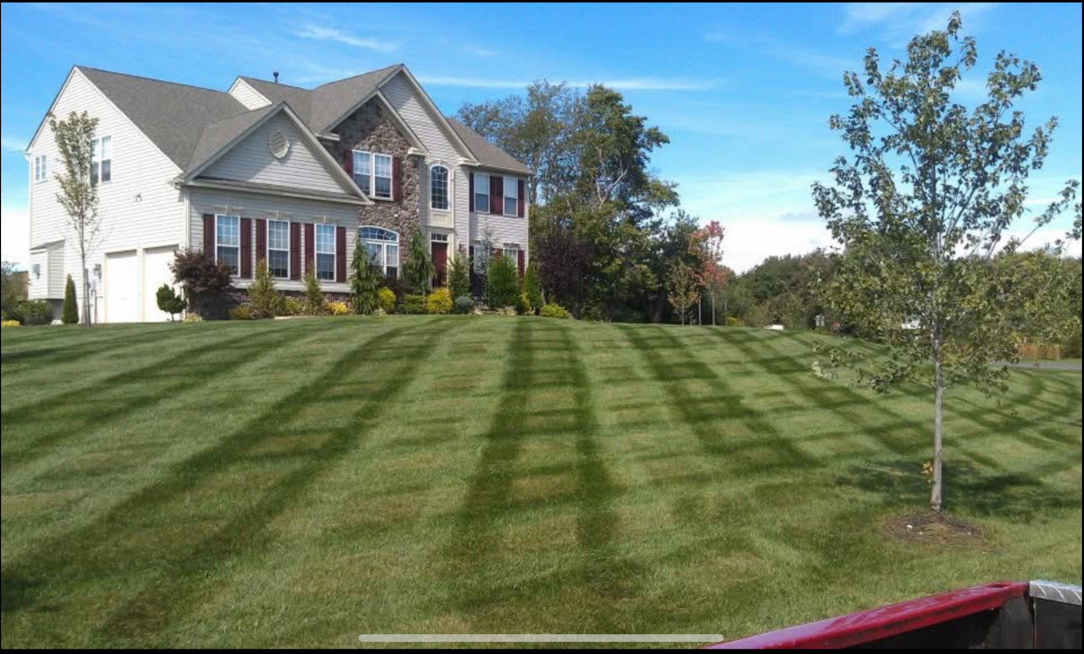 Professional lawn maintenance