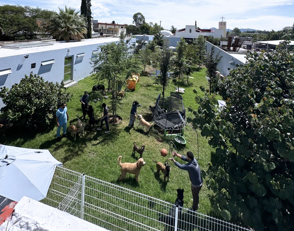 Guardería - Huellitas Resort