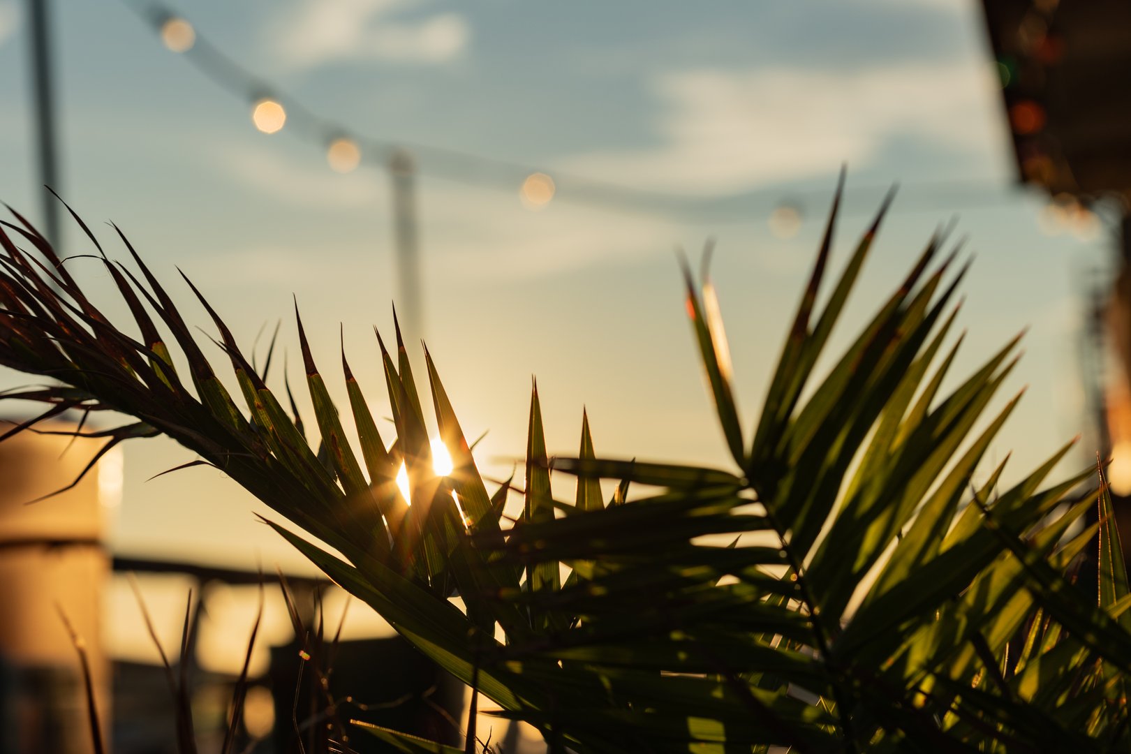 Sunset on the pier, palm tree in the foreground, blurred chain of lights in the background. Sunbeams, tranquil scene, holiday, relaxation.