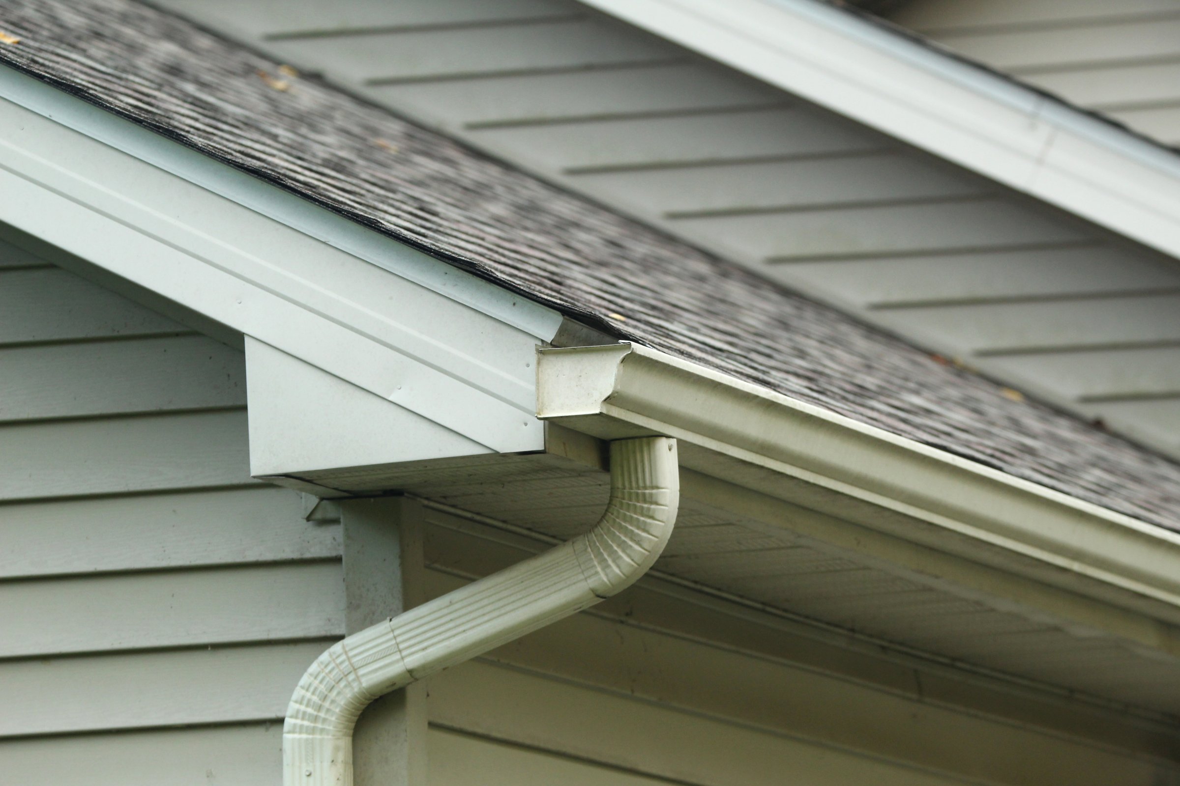 House roof and gutter system