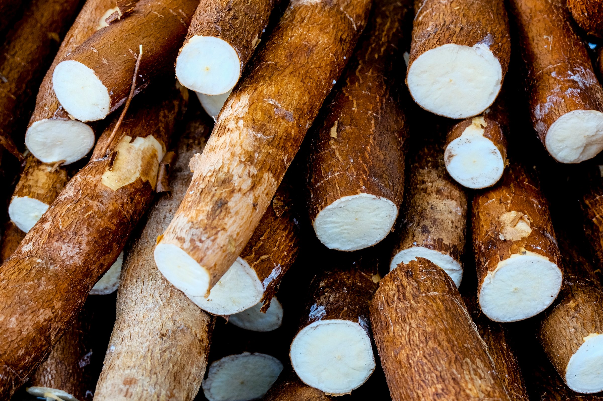 Yam harvest