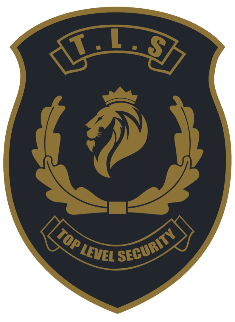 TLS Security Logo