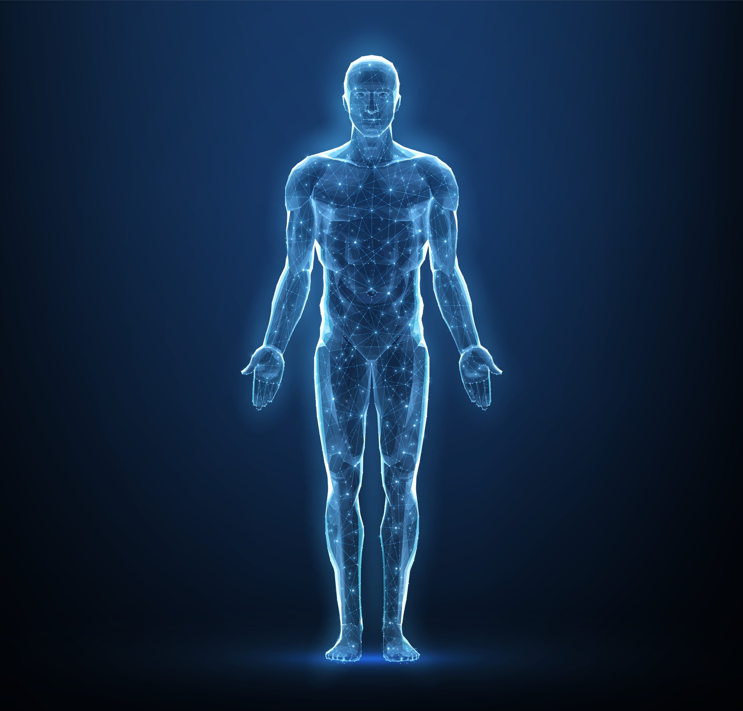 Human body. Abstract . Digital anatomy, Medical technology, Muscle structure, Health innovation, 3D model, DNA biotechnology, Body system, Science medicine, Healthy anatomy concept