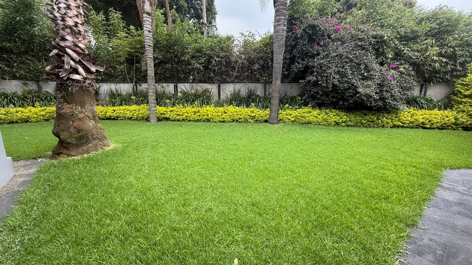 Jardín paisajístico con áreas verdes