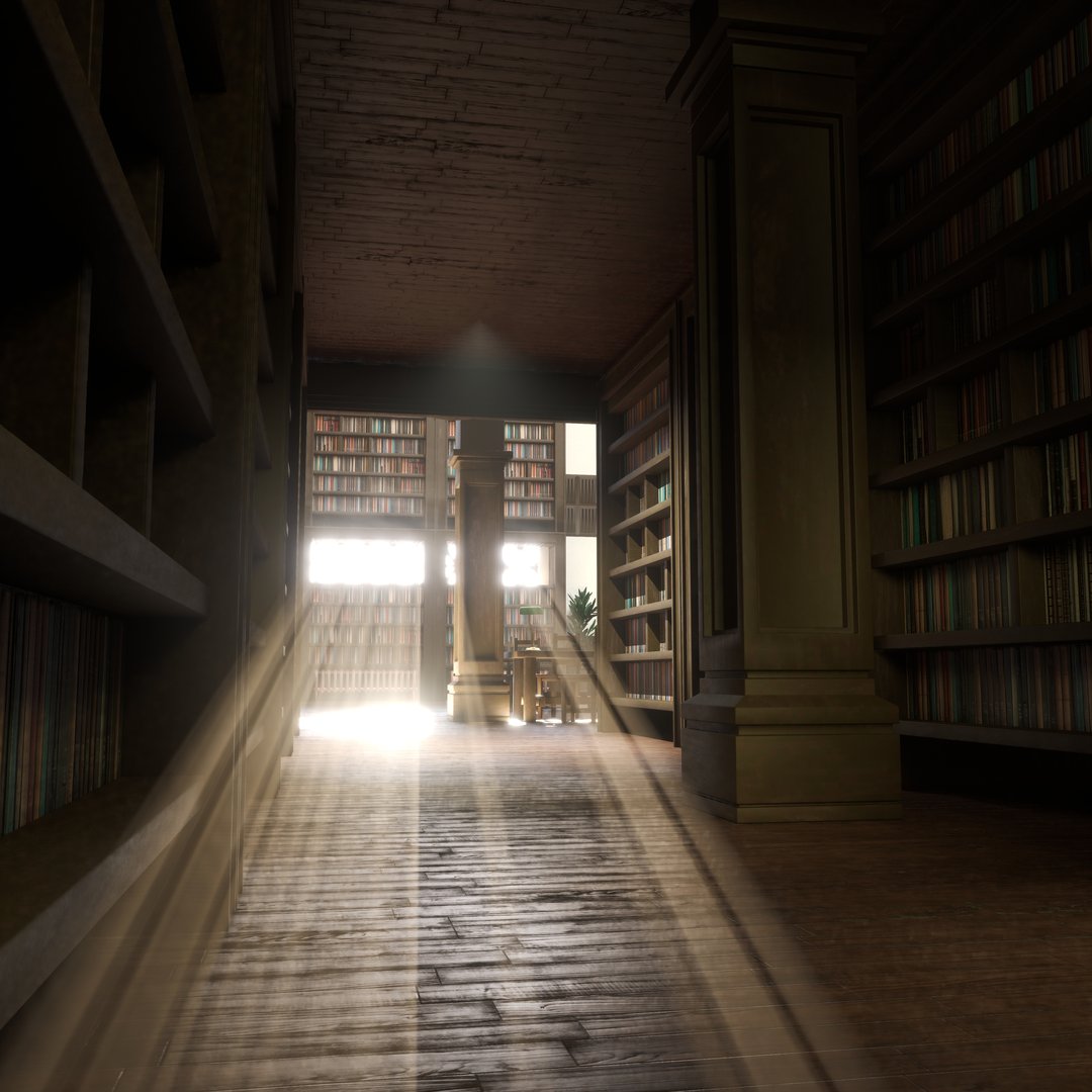University library interior with tall shelves and natural lighting