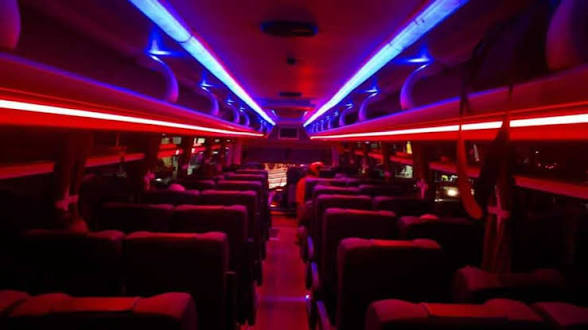 Bus