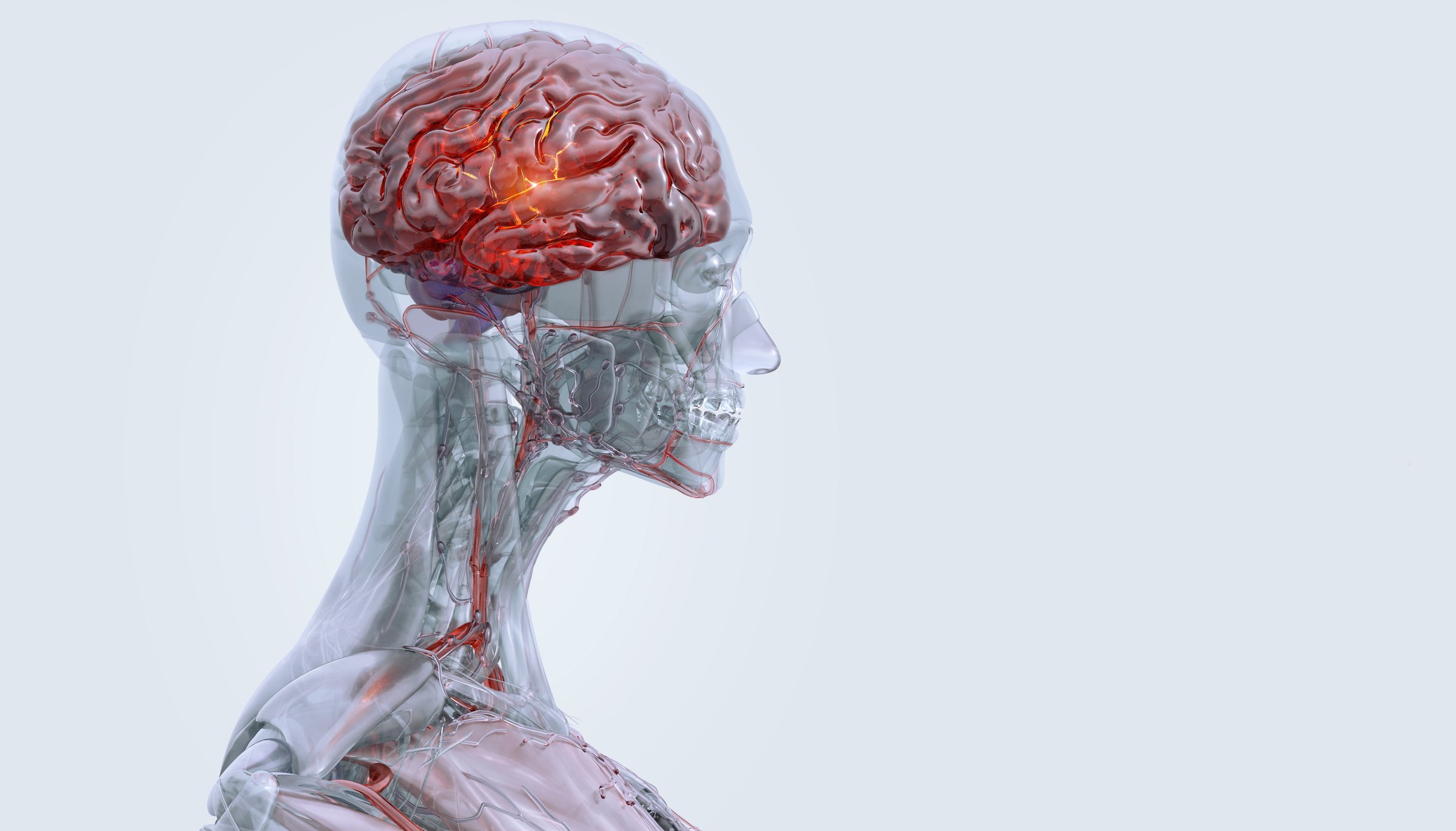 Brain disorders, neurological degenerative diseases. Parkinson's, Alzheimer's, dementia, autism, epilepsy, sclerosis. Mental health, psychology 3D illustration: stress, migraine, depression, anxiety, bipolar