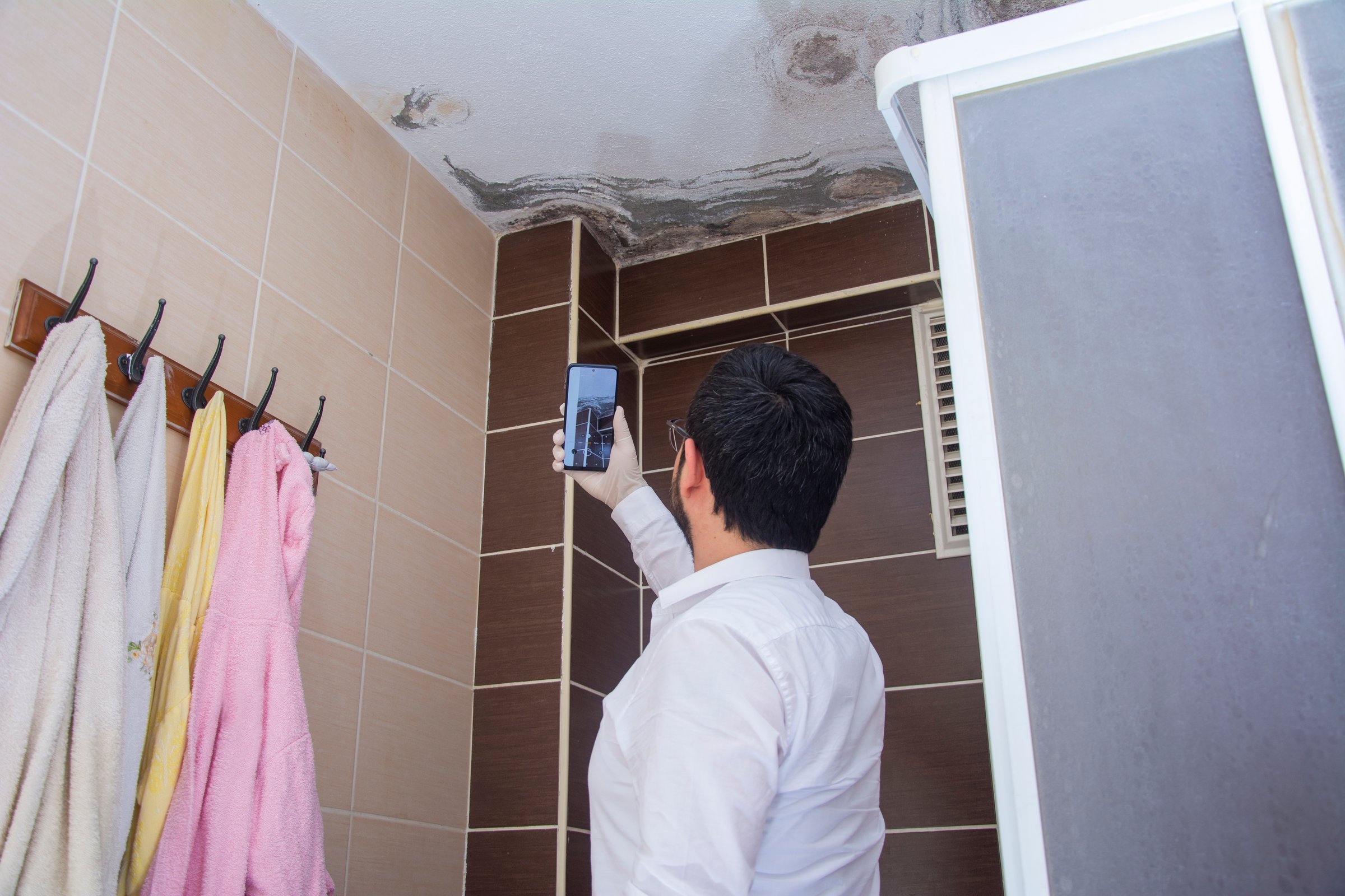 Expert inspecting moldy bathroom ceiling