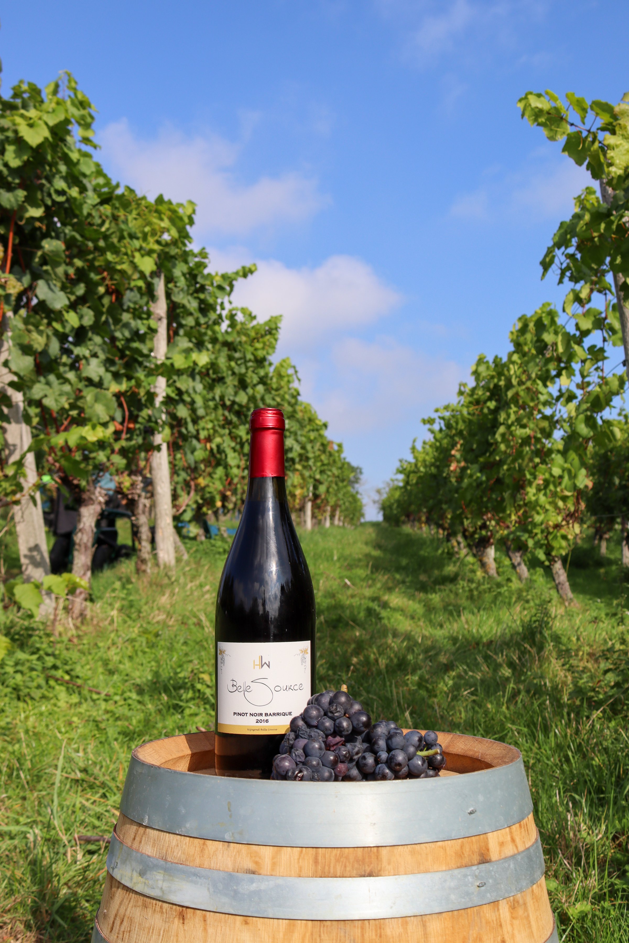 Belle Source Pinot Noir wine bottle