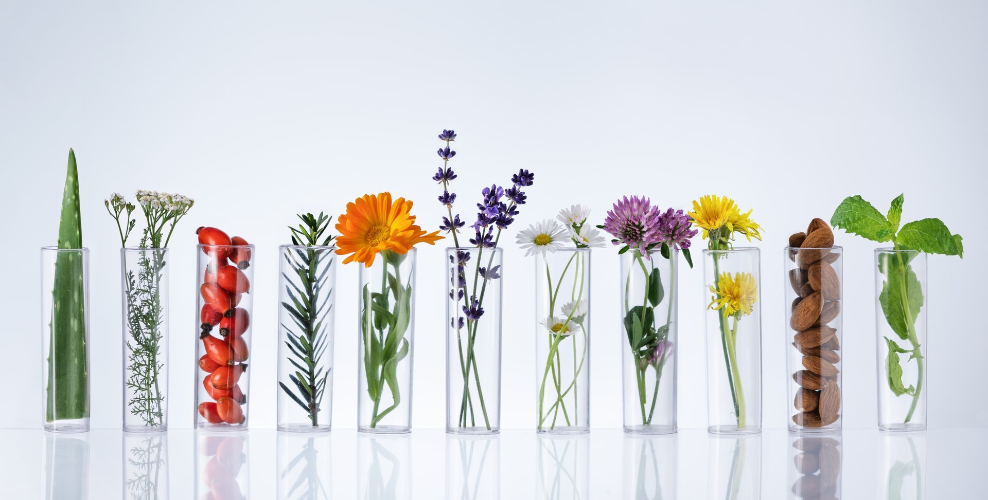 Test tubes with herbs on white background. Herbal medicine concept. Herbal medicine research.