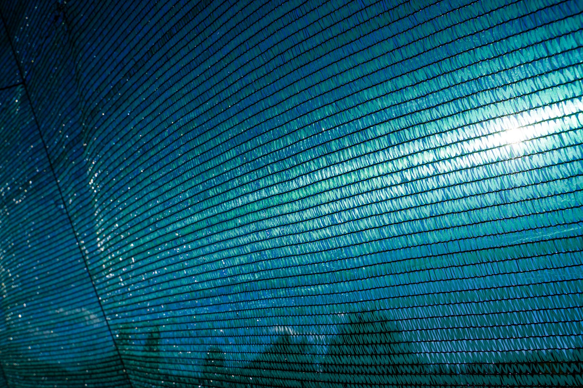 Maya sombra 90 por ciento