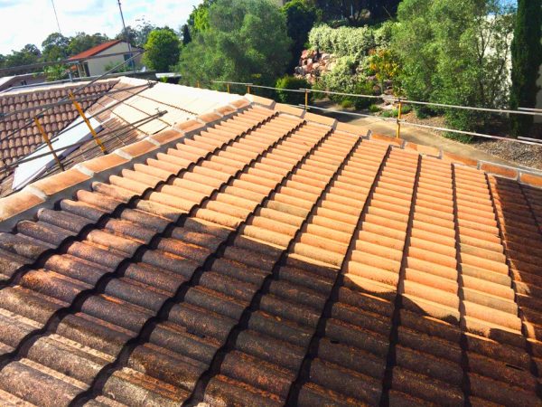 Roof painting and cleaning services