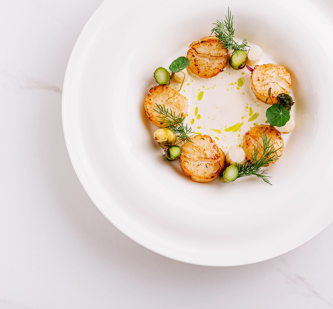 A fine dining dish features beautifully seared scallops arranged in a circular pattern on a white plate. Fresh herbs garnish the dish, complementing the aromatic sauce.