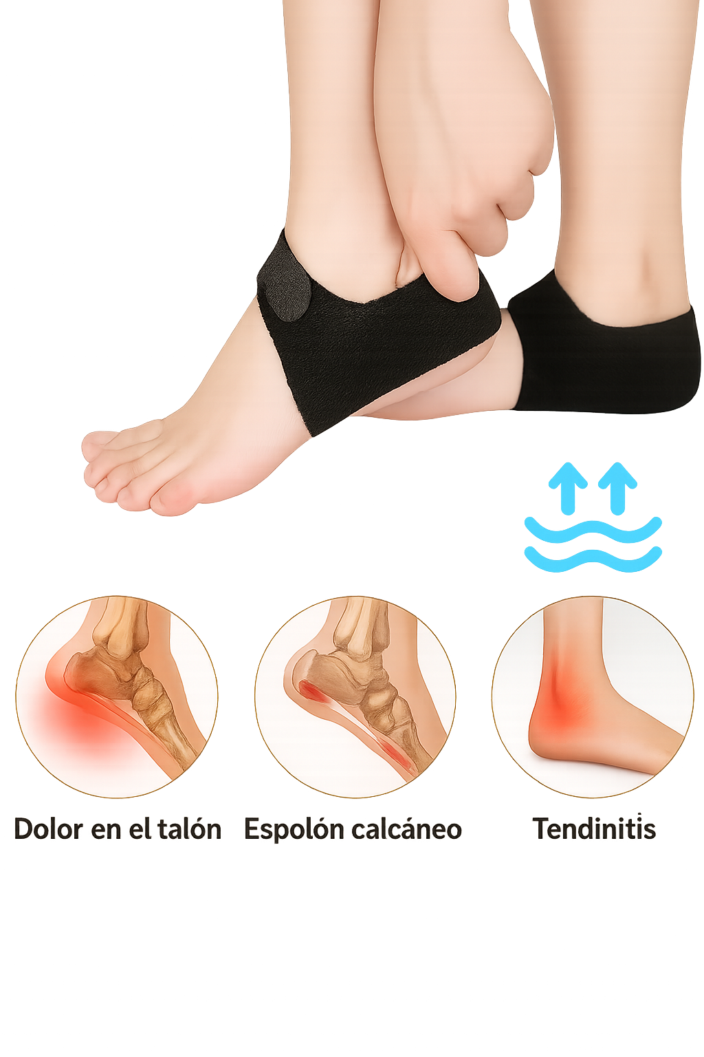 Talonera Max Confort