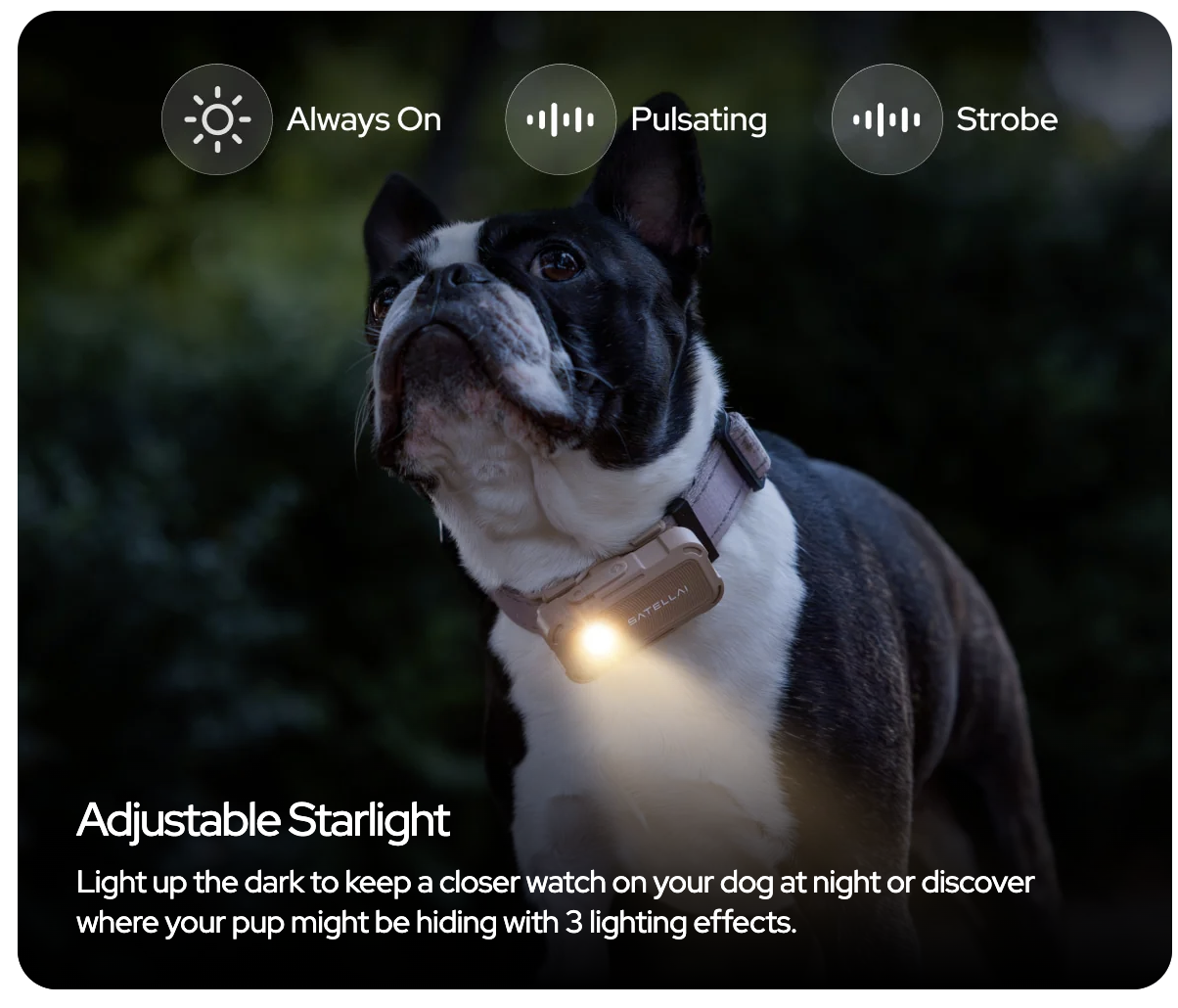 Adjustable Starlight Feature
