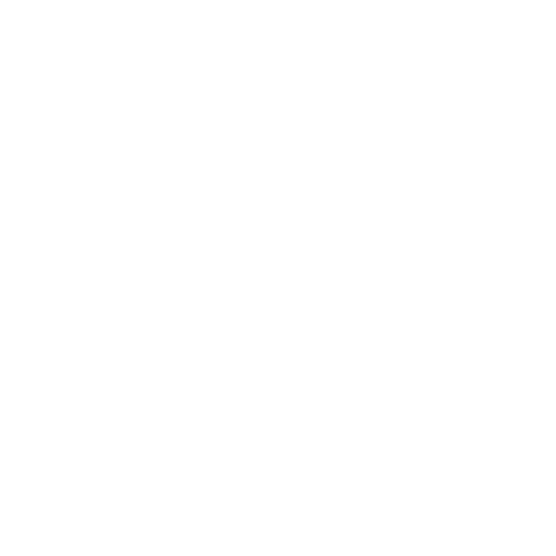 Nexus Logo